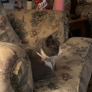 Meet your Posher, Tabatha